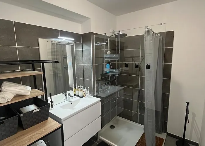 Le Bonappart T3 Grande Terrasse Apartment *